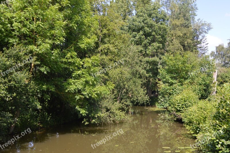 Tree Water Landscape Lake Trees