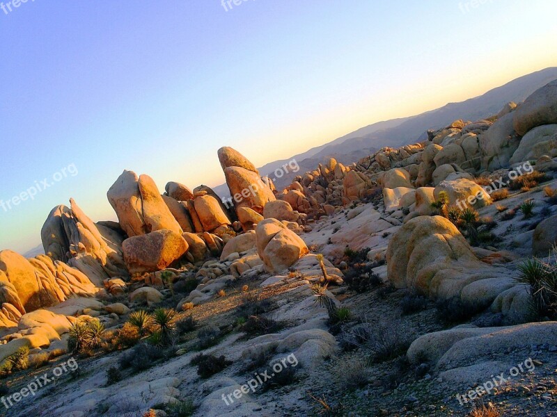 Joshua Tree National Park Boulders Rocks Sunset Nature