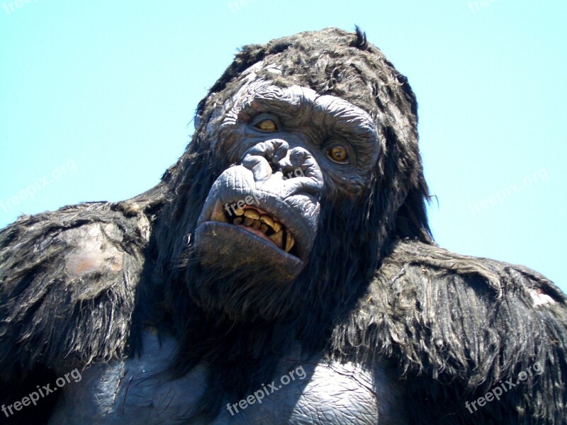 Warner Brothers King Kong Gorilla Movie Ape