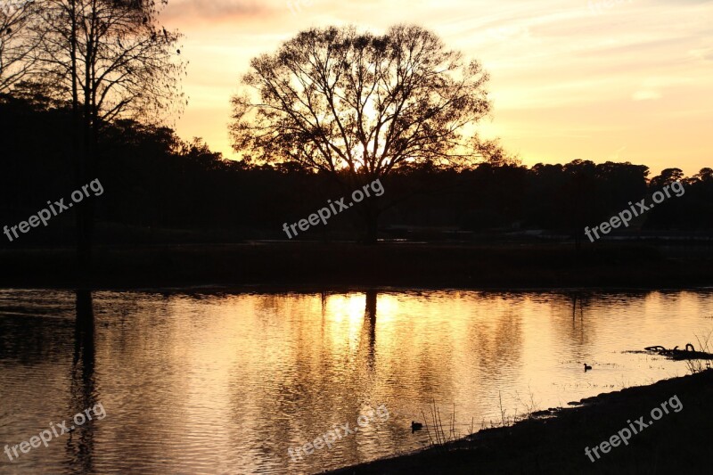 Golden Light Park Nature Autumn Beautiful Season