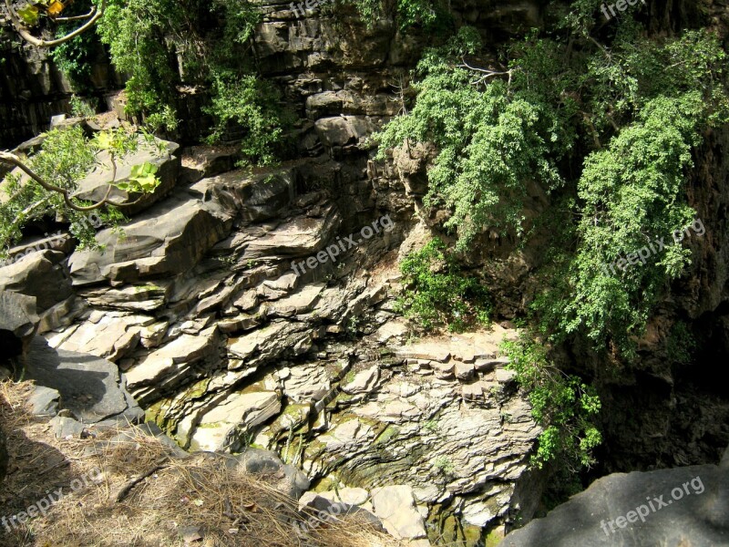 Jungle India Rainforest Rock Nature