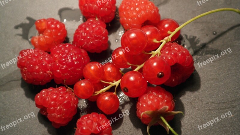 Currants Raspberries Berries Food Forest