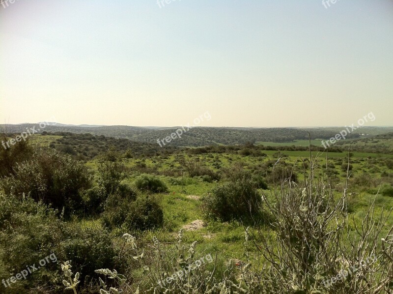 Shrubs Green Landscape Nature Scene