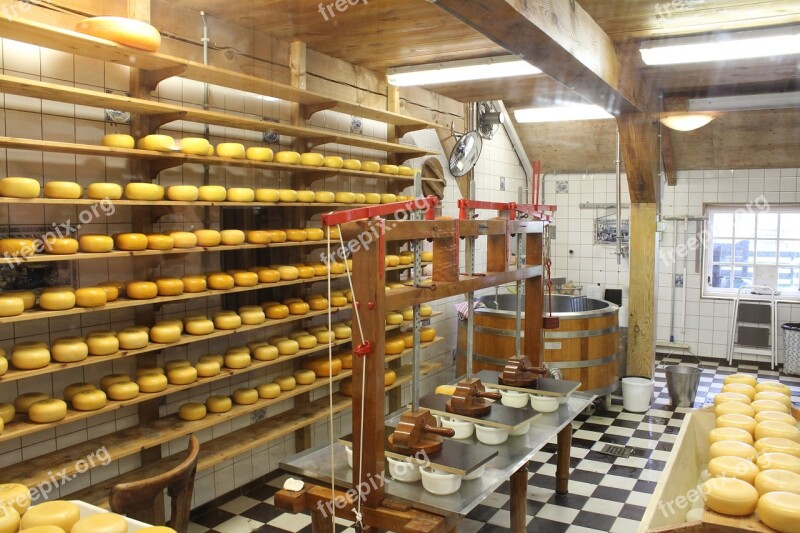 Cheese Cheese Dairy Cheese Production Cheeses Free Photos