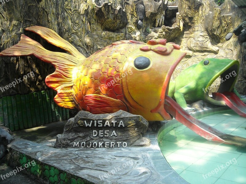 Sculpture Gold Fish Frog Ijo Outdoor Swimming