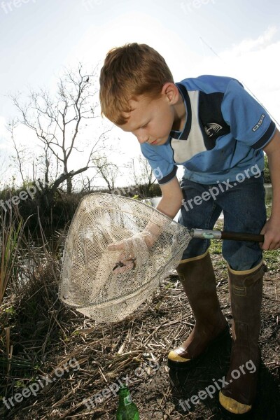 Net Fish Catches Boy Young