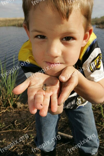 Fish Small Holds Boy Young