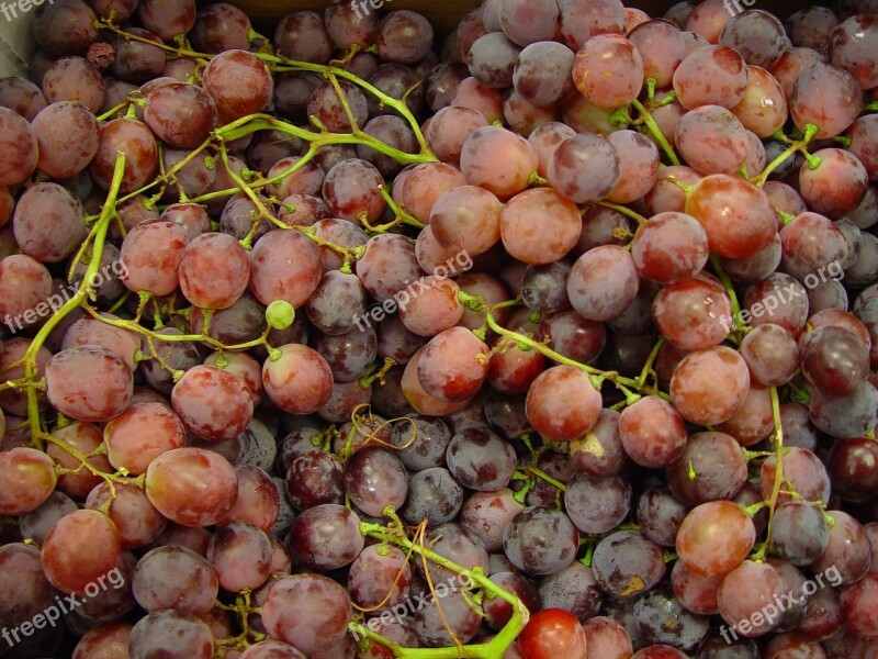 Globe Red Fruit Grapes Fruits