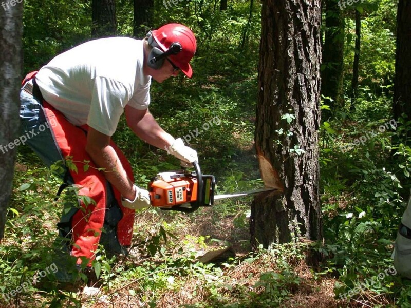 Forest Chainsaw Holds Man Men