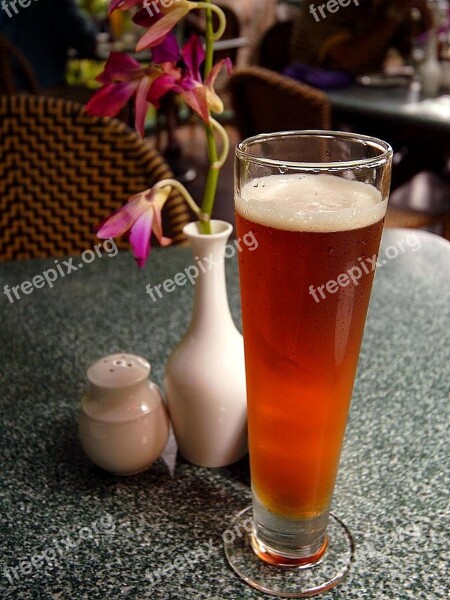 Glass Beer Drink Food Free Photos