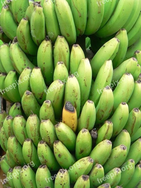 Bananas Yellow Green Banana Fruits