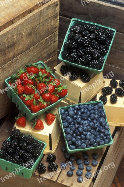 Blackberries Blueberries Strawberries Fruits Plants