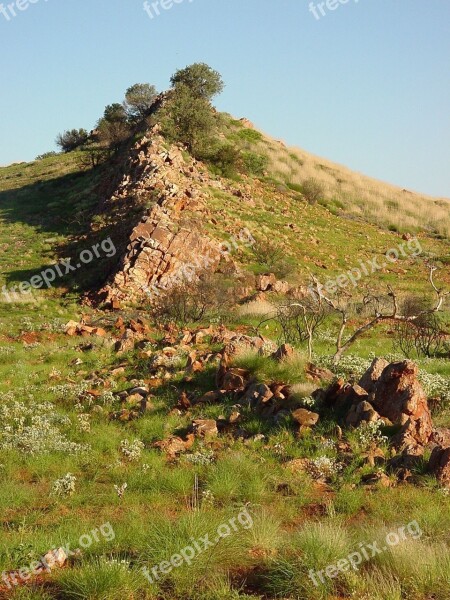 Carnarvon Near Ridge Back Dragon