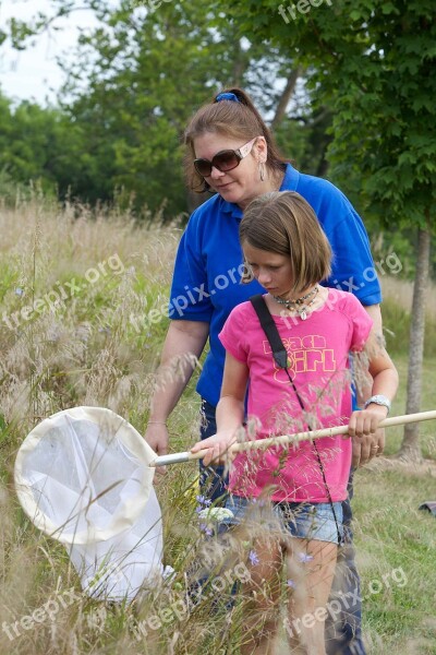 Net Insects Catch How Learns