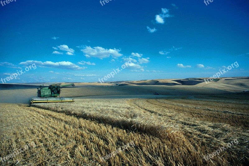 Hills Palouse Washingtons Harvest Barley