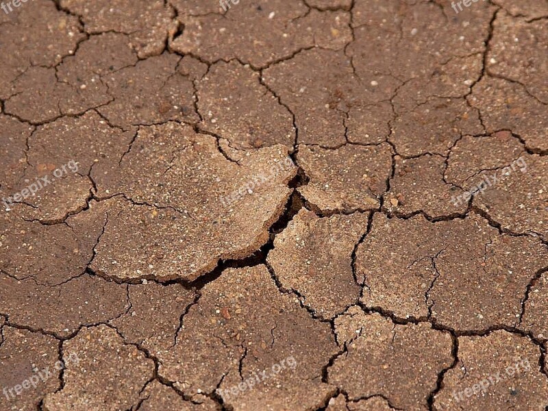 Beach Mud Dried Cracked Ground