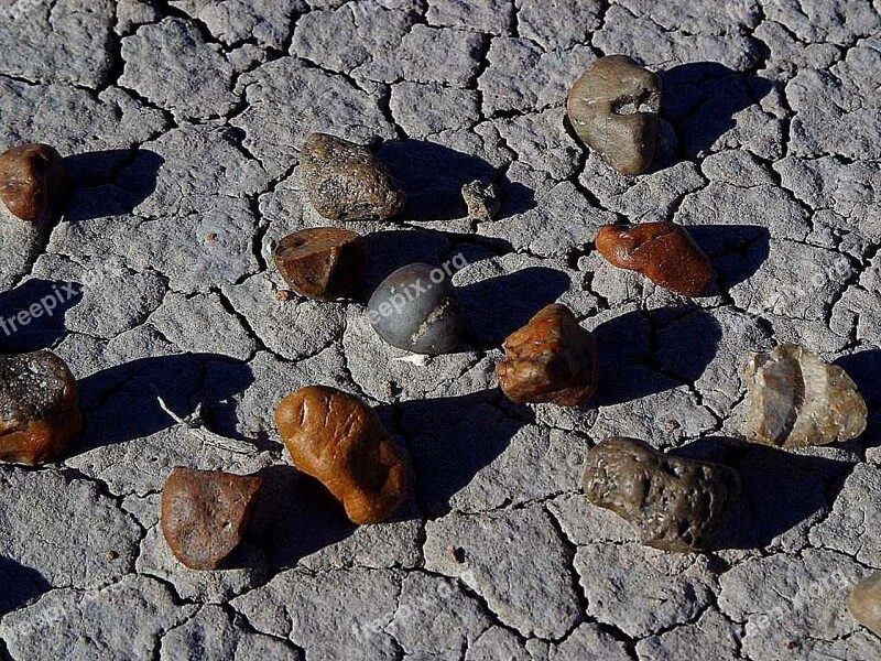 Wood Petrified Ground Earth Landscapes