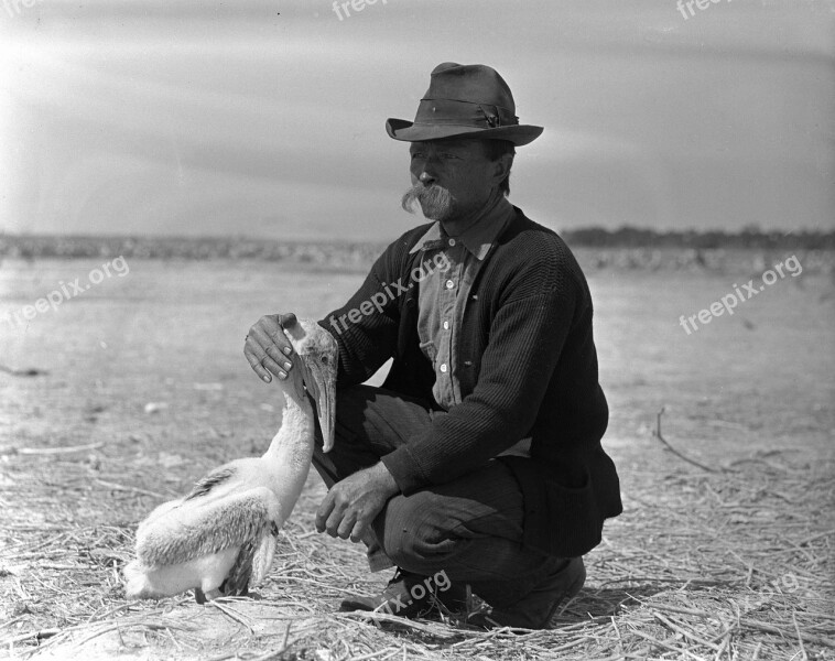 Bird Cowboy As Dressed Man