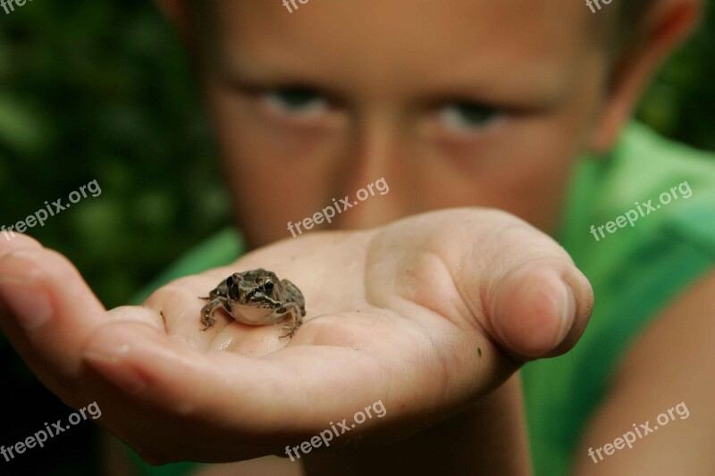 Discovered He Frog Holds Boy