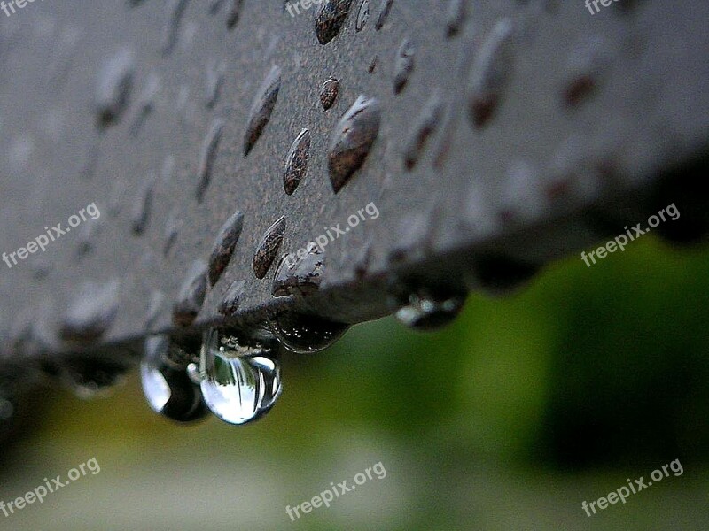 Drops Dew Or Rain Landscapes