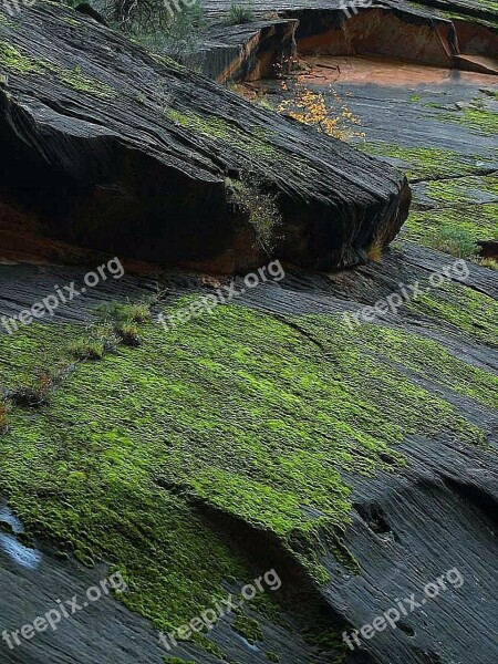 Moss Canyon Zion Stones Rock