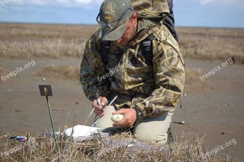 Sampling Influenza Avian Medical Science