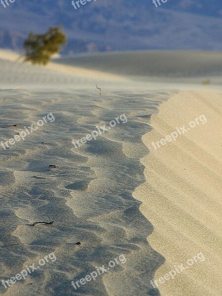 Deserts Dunes Sand Landscapes Nature