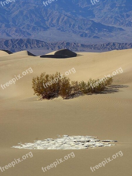 Desert Dunes Sand Landscapes Nature