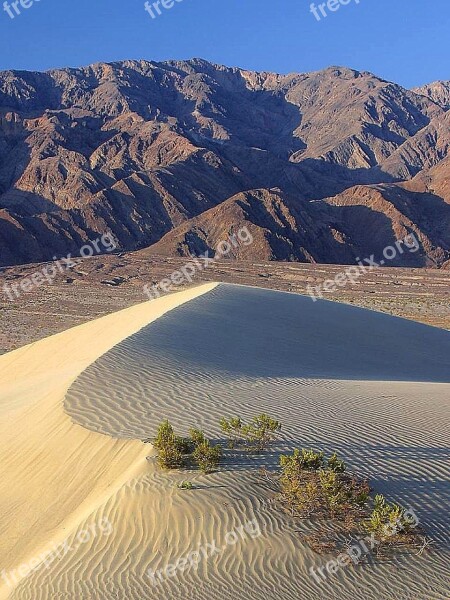 Dunes Sand Landscapes Nature Free Photos