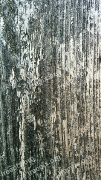 Wood Texture Pattern Wooden Material