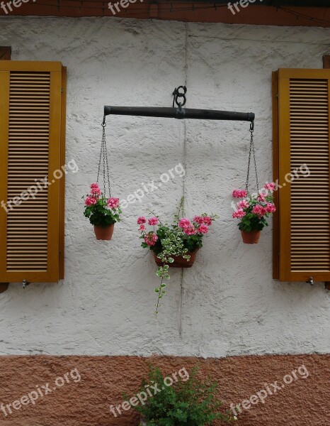 Flowers Horizontal Harness For Horses Free Photos