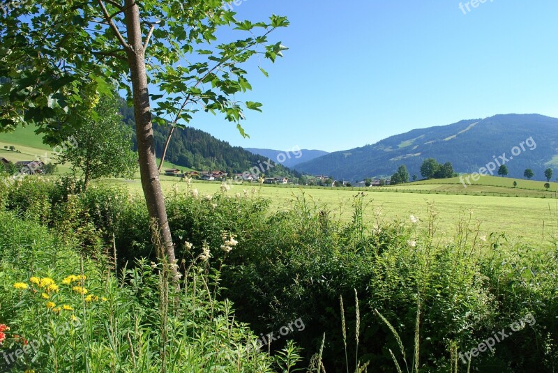 The Alps Mountain Creek Austria Europe