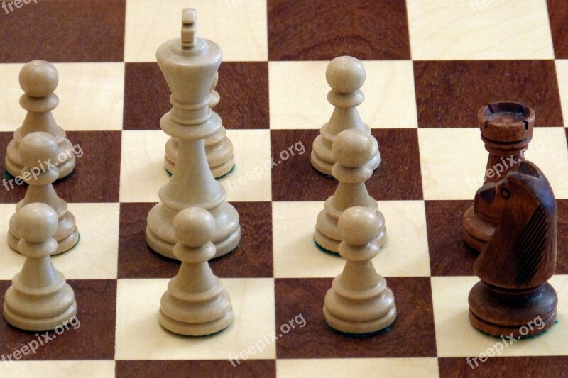 Chess Chess Pieces White Black King