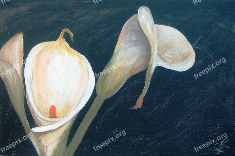 Painting Acrylic Art Calla White