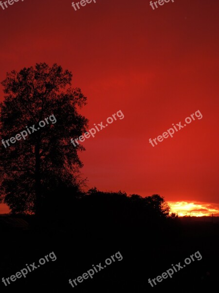 Sunset Tree Vertically Free Photos