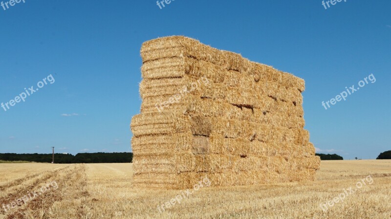 Hay Forage Balls Boots Pre