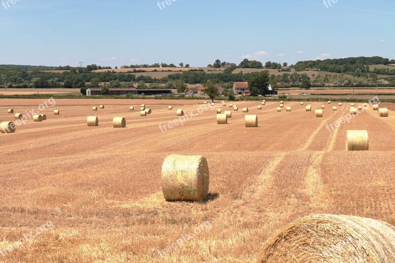 Hay Forage Field Landscape Nature