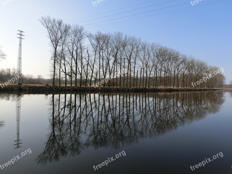 Avenue Trees Water Mirroring Landscape