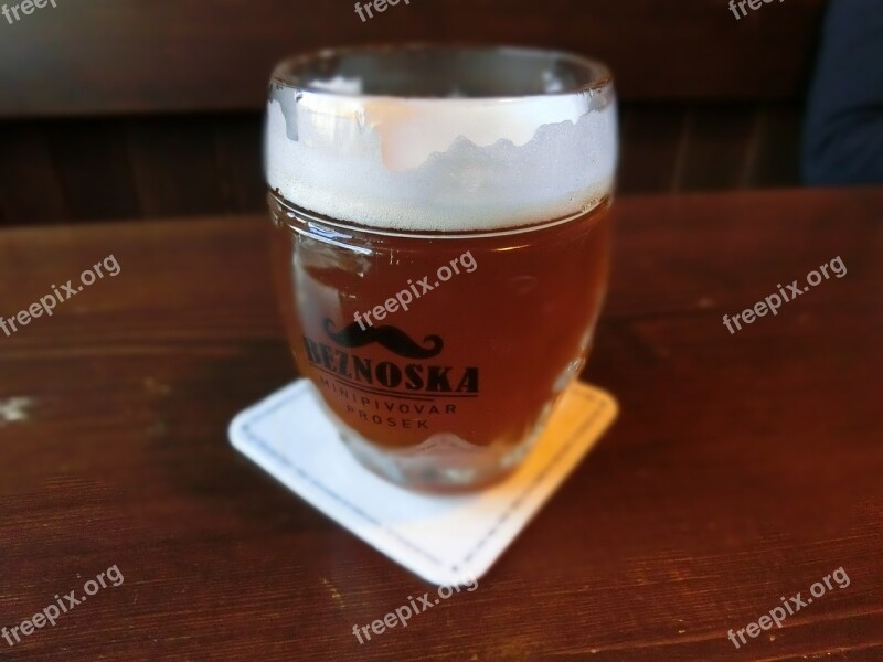 Beer Glass Refreshment Thirst Beer Garden