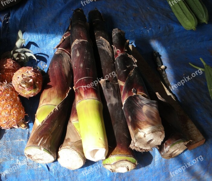 Bamboo Shoots Bamboo Vegetable Food Stall