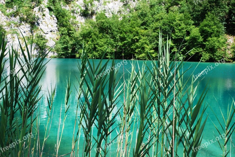 National Park Croatia Plitvice Lakes Lake Water Free Photos