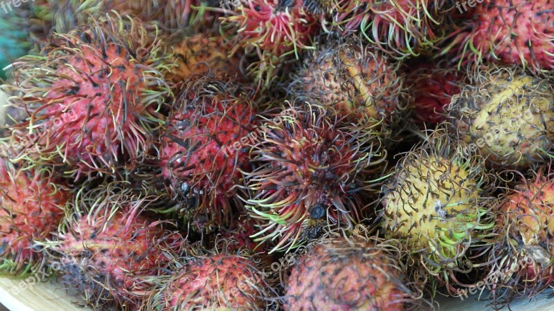 Rambutan Fruits Fruit Delicious Healthy