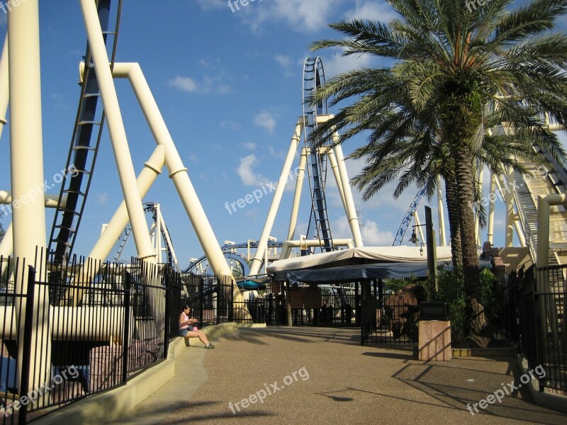 Roller Coaster Amusement Park Florida Park Free Photos