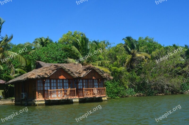 Vacation Hut Shack Palm Trees Palms