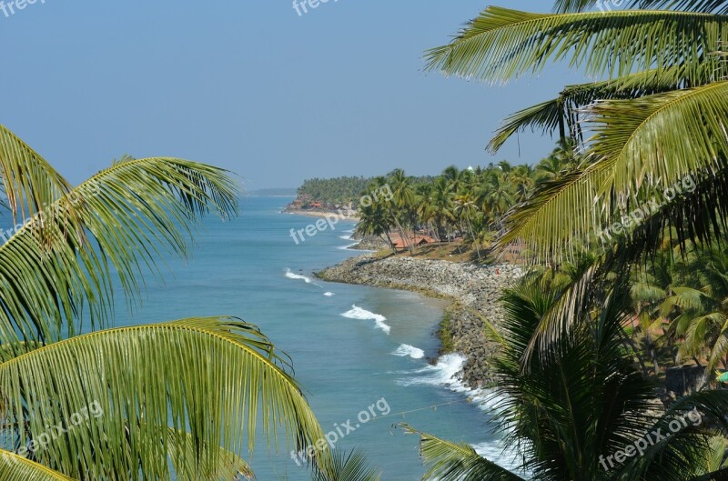 Palm Trees Palms Tropical Nature Beach