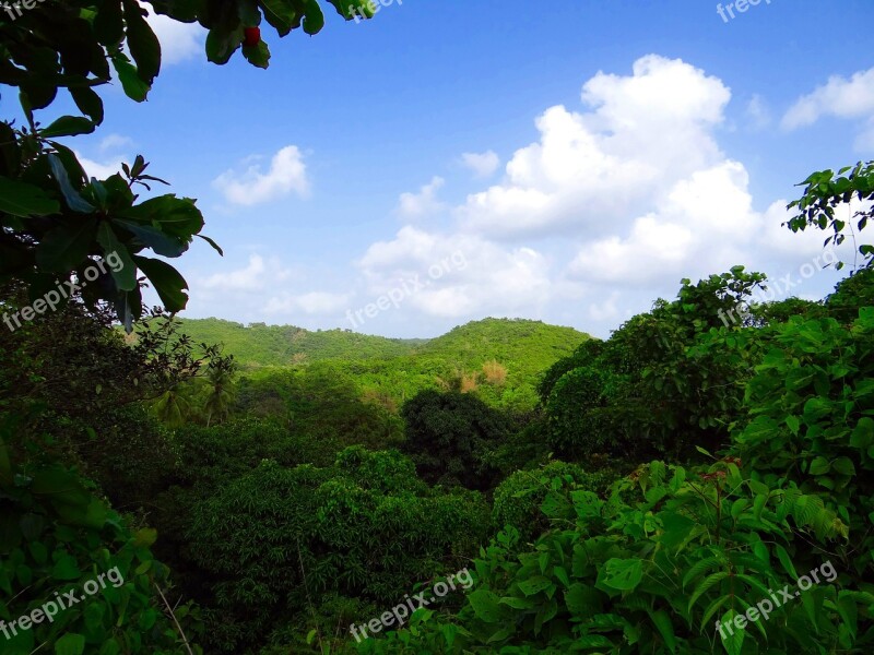 Western Ghats Mountains Nature Lush Green Forest