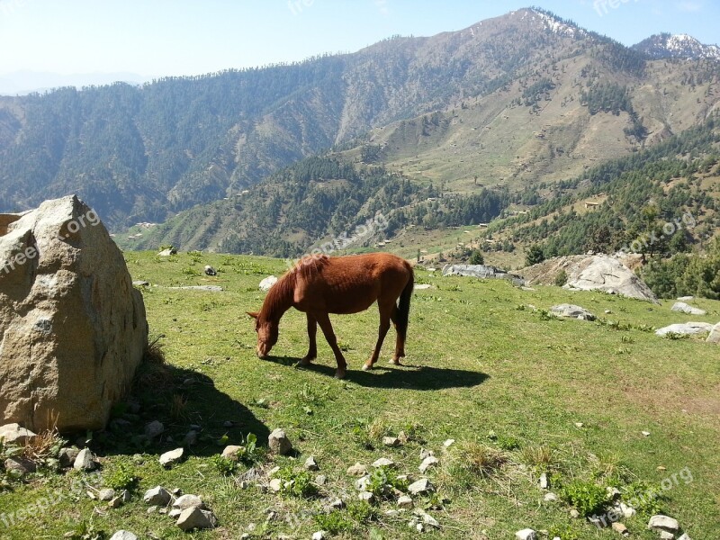 Horse Rock Grass Mountain Grazing