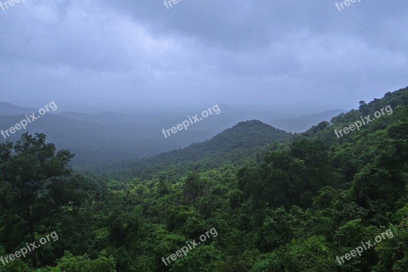 Rainforest Western Ghats Mollem National Park Mountains Vegetation