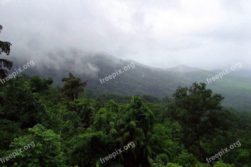 Rainforest Mollem National Park Western Ghats Mountains Vegetation