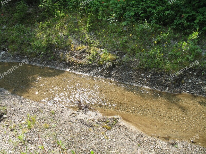 Creek Nature Water Free Photos